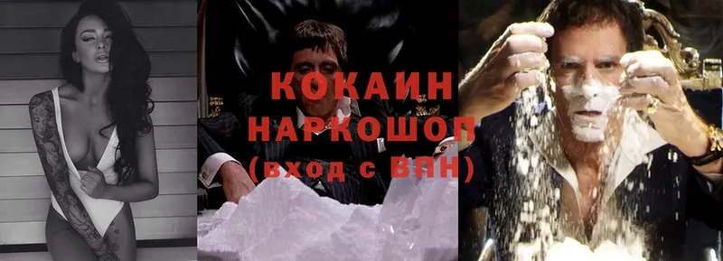 где можно купить наркотик  Гуково  Cocaine Fish Scale 